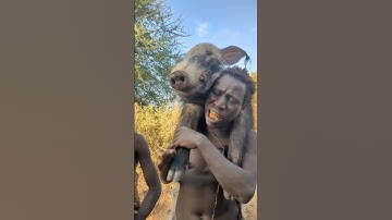 Hunting story, sad ending 🤪 #shorts