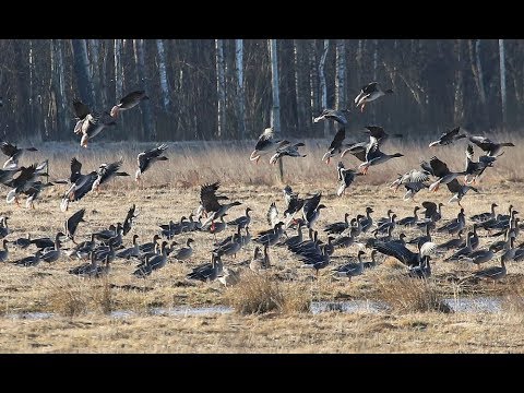 НАРОДНЫЕ ПРИМЕТЫ НА 28 СЕНТЯБРЯ