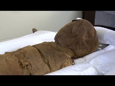 Vídeo: Os Curadores Do Museu Encontraram Uma Múmia Dentro De Um Sarcófago Egípcio, Que Foi Considerado Vazio - Visão Alternativa