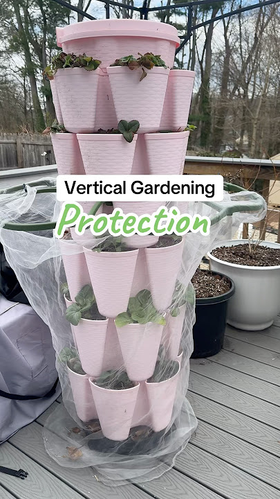 Protect your @GreenStalkGarden with the insect protection cover 💚 #gardening #gardeningideas