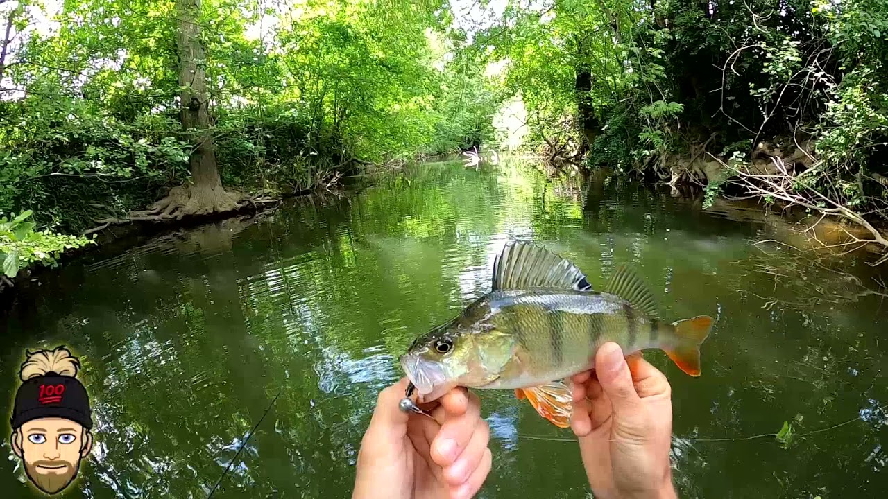 Je pêche UL avec des créatures, ils adorent ça !