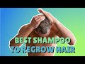 Ketoconazole shampoo for hair regrowth  all you need to know