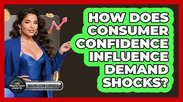 How Does Consumer Confidence Influence Demand Shocks? - Macroecon Experts