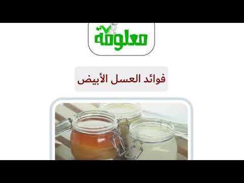 عسل الابيض الروسي المجرى والقرقيزي 0535514667 Youtube