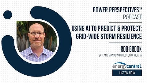 Using AI to Predict & Protect  Grid wide Storm Resilience