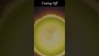 The Casting Off Of The Sun #shorts Net Worth