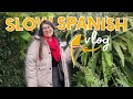 LEARN Spanish NATURALLY | comprehensible input