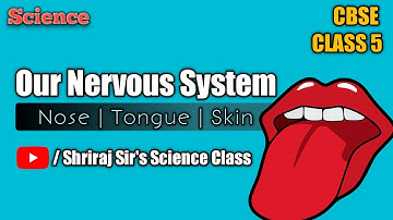 Class 5 | Our Nervous System : Part 4 | Nose | Tongue | Skin | CBSE