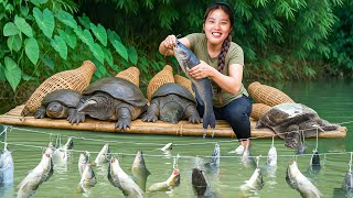 Download Lagu Catching Giant Catfish, Carp \u0026 Snakehead by Hand using Bamboo Trap to Sell at the Market MP3 Download Lagu Catching Giant Catfish, Carp \u0026 Snakehead by Hand using Bamboo Trap to Sell at the Market MP3