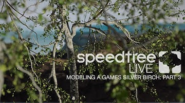 Modeling a Games Silver Birch | Part 3