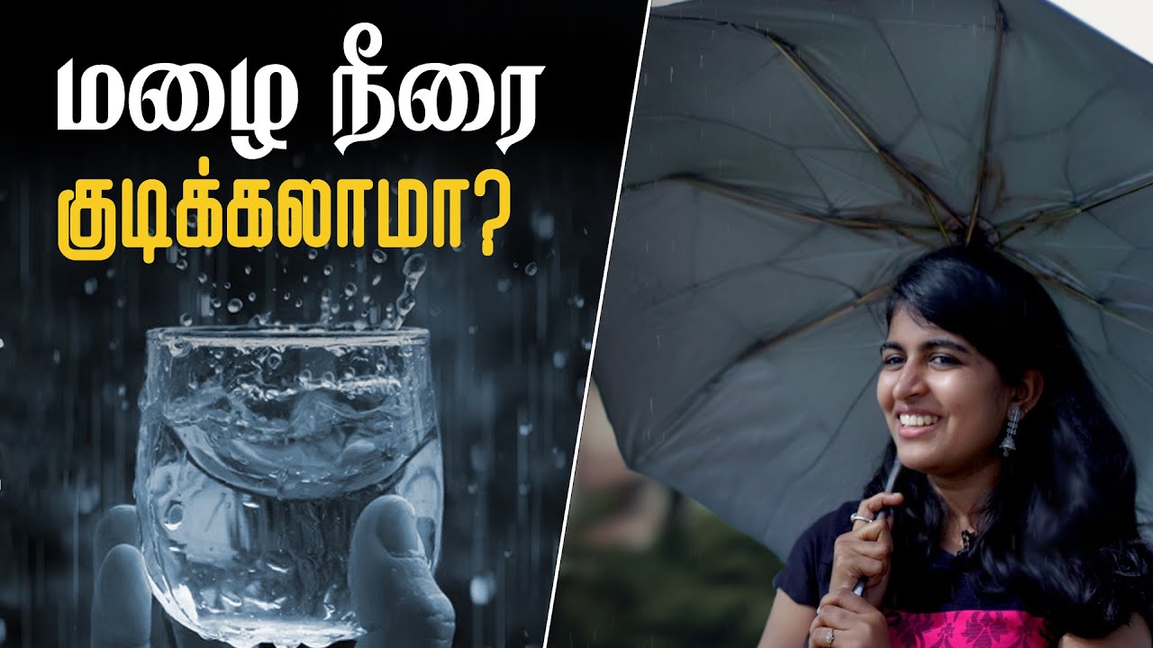 மழை நீரை குடிக்கலாமா? | LMES
