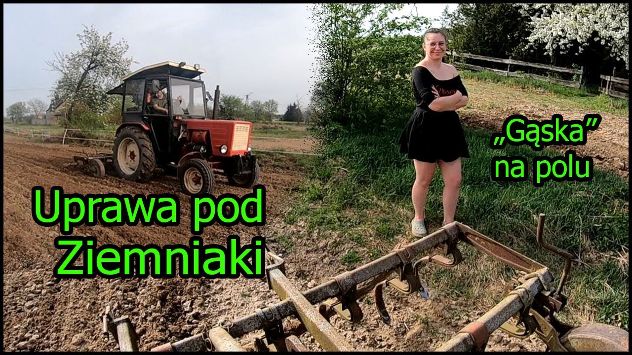 Uprawa pod Ziemniaki  | 