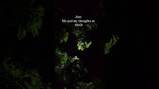 Life hits hard at Midnight 🥀🍂#midnight #photography #life #falsememories #night ##deepthoughts