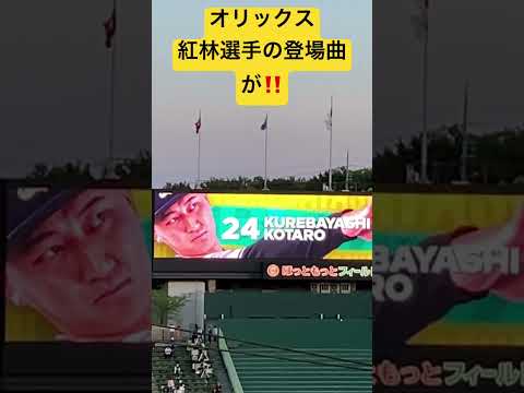 #オリックスバファローズ  #紅林弘太郎 選手の登場曲がまさかの！#ほっともっとフィールド神戸