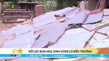 Nỗ lực đưa học sinh vùng lũ đến trường | VTVWDB