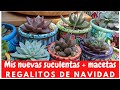 Nuevas suculentas y macetas // regalitos de Navidad #PRIMERVIDEO2022