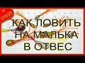 Как ловить на МАЛЬКА в отвес. Оснащение и игра мальками при отвесной ловле.