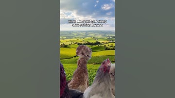 Block spam the easy way - link in bio