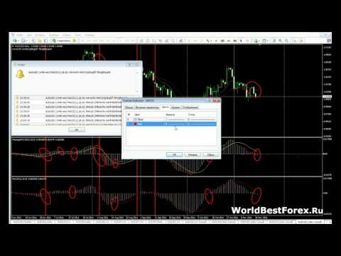 Индикатор Форекс MACD Message Индикатор Форекс MACD Message