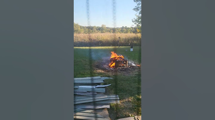 throwing bullets in a fire...safe or not ?