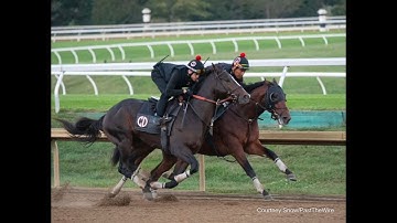 The Ravens Run by the Thorograph Numbers and Patterns
