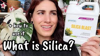 What is Silica & Do Your Plants Need It?? 🌿 everything you need to know before buying & using silica