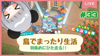 #33パレード開催！のこりの限定家具もあつめるぞ⁉のんびり島くらしをするのだ【＃あつまれどうぶつの森】
