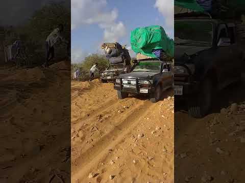 السفر والسيارة ليلا علوي