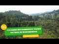 Colombia, descubriendo el tesoro natural en biodiversidad - TvAgro por Juan Gonzalo Angel Restrepo