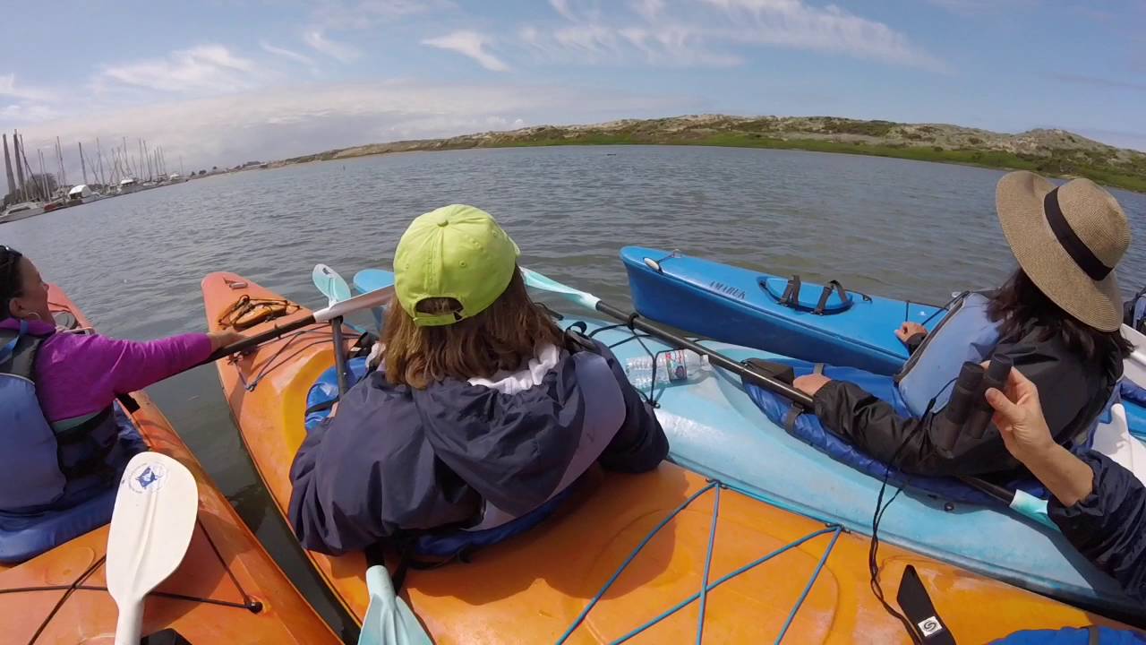 Elkhorn Slough Kayak Adventure YouTube