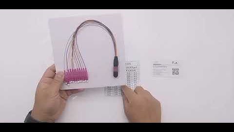 MPO-LC Fiber Optic Pigtail