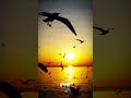 IMAGin - Transformando Imagens em Oportunidades #audiovisual #cinema #bancodeimagens