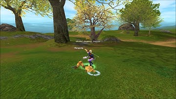 Gloomy sro Intro ( New private silkroad, reborn system)