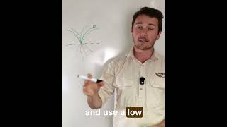 Foliar Nitrogen