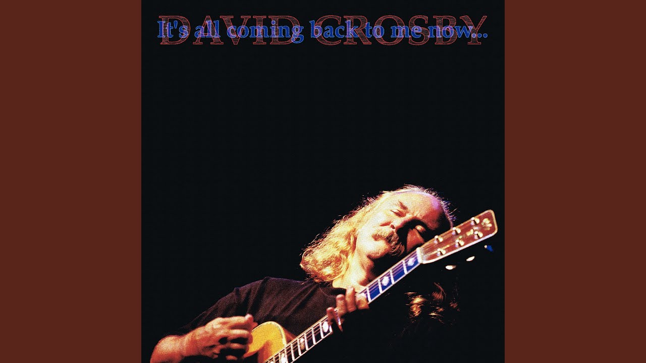 Almost Cut My Hair Live YouTube almost-cut-my-hair-live-youtube