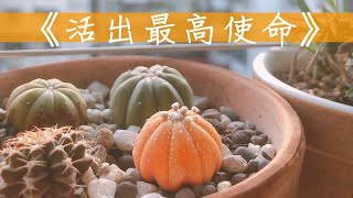 第二集 活出最高使命｜使命是什麼？