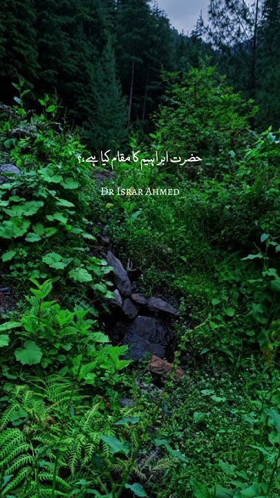 shirk drisrarahmadbayan drisrarahmedofficial what Does Shirk Mean shirk-drisrarahmadbayan-drisrarahmedofficial-what-does-shirk-mean