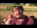 Potato Harvest 2018!