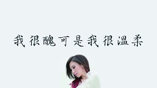 林凡【我很醜可是我很溫柔】 歌詞  （ 清心版 ）