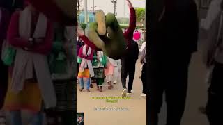 Japan Has Many Indian People