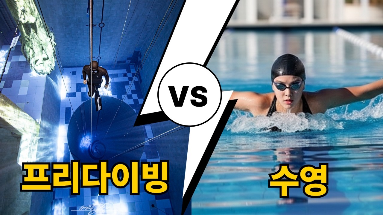 비슷한줄 알았는데 이렇게 다르다고? | 수영,프리다이빙 차이점 알아보기 | 수린이 이자 프리다이빙 강사의 시선 | 