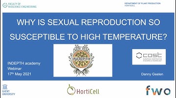 #INDEPTHAcademy Danny Geelen discusses the effect of temperature on sexual reproduction