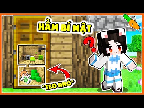 KAMUI VÀ MÈO SIMMY THỬ THÁCH 24H XÂY "HẦM BÍ MẬT SIÊU TEO NHỎ" TRONG LÀNG HERO TEAM MINECRAFT