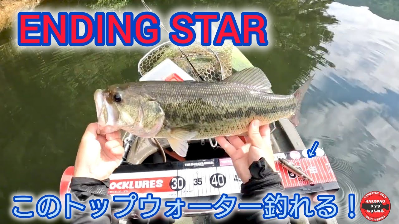 釣れるトップウォータールアー！エンディングスター☆【バス釣り】