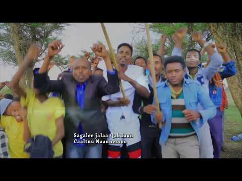 Abarraa Bashaadaa: Dhalchan Goota Dhalchuu  ** New Oromo Music 2018