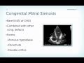 Mitral Stenosis Basics