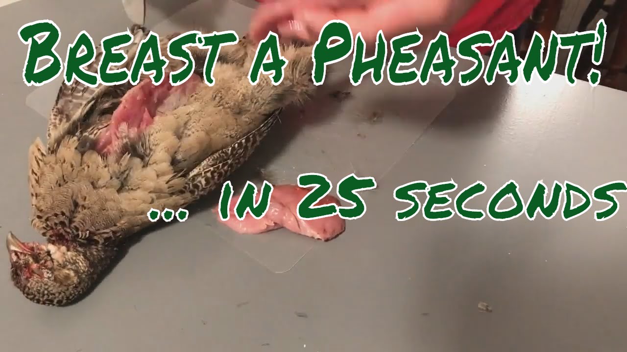 How to Breast a Pheasant in 25 seconds! small town crime