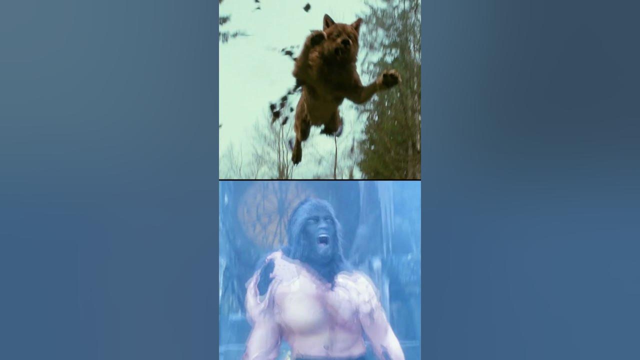 Jacob Black vs. Van Helsing 🐺 Who wins?