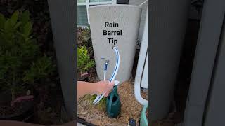 Best Thing I Found For My Rain Barrel #shorts #rainbarrel