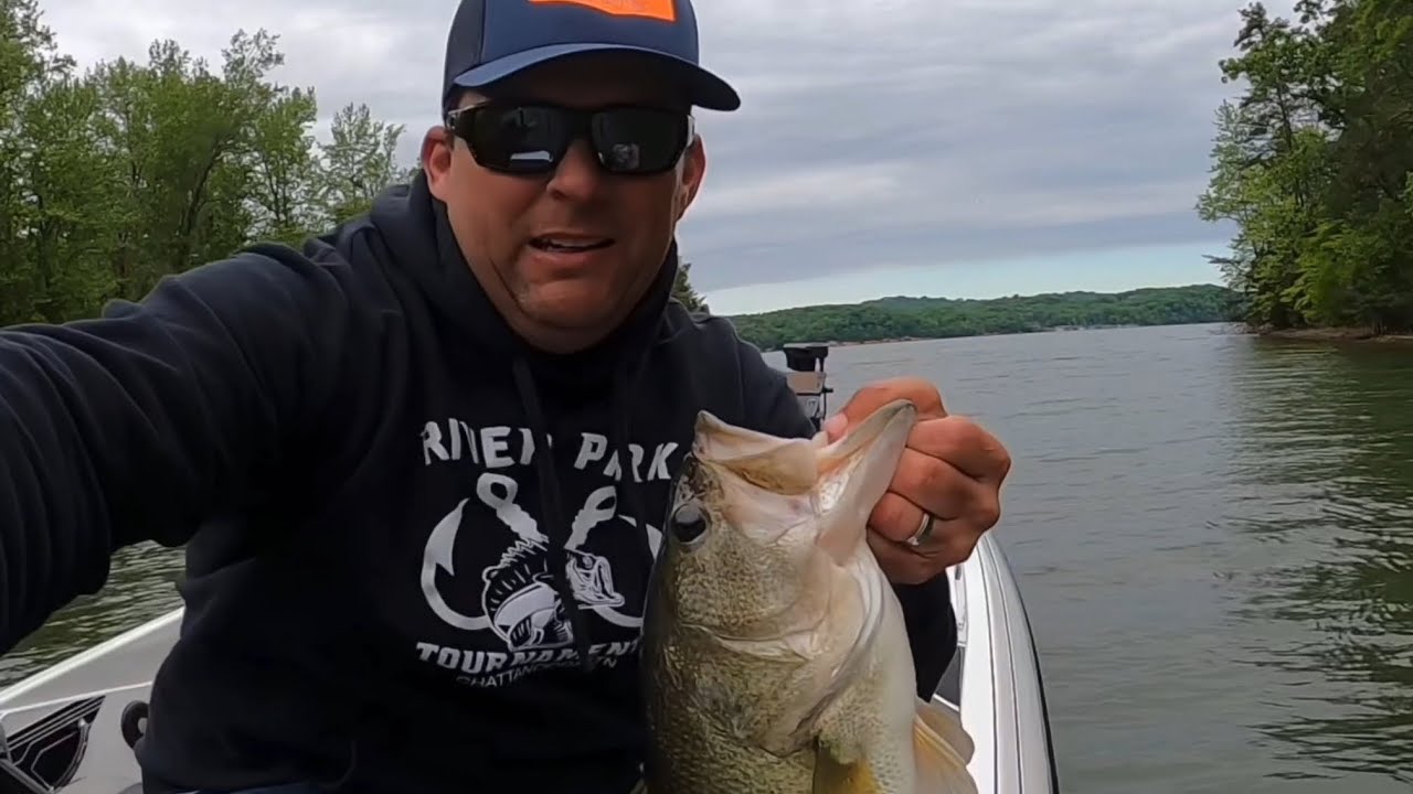 Scottsboro Small Glide on Nickajack Lake Bass Fishing Spawn 2023 YouTube